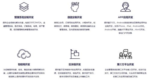 軟件開發外包服務 定義、模式、優勢與選擇指南